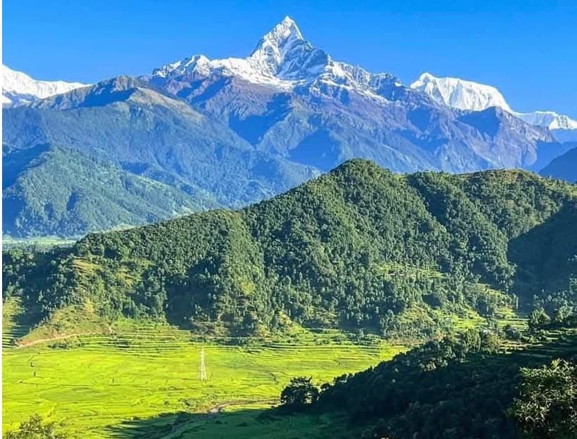 The Yoga and Meditation Immersion